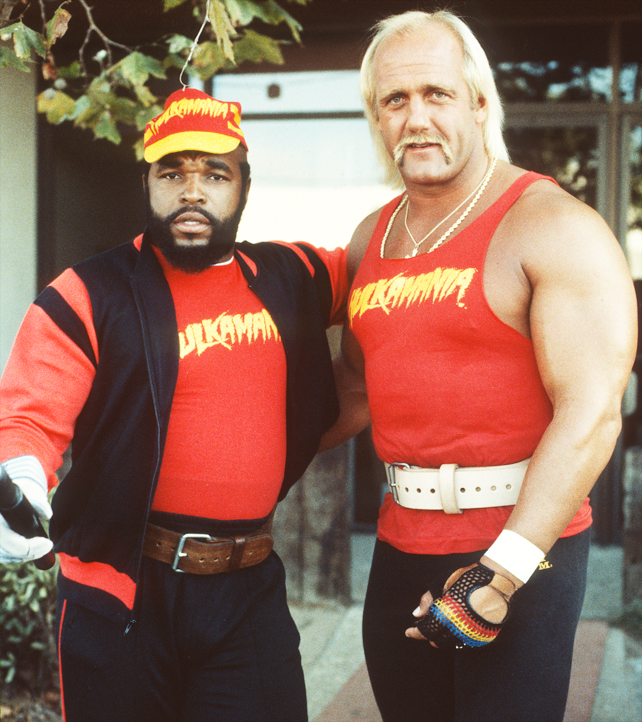 hulk hogan giocattolo hulk hogan giocattolo